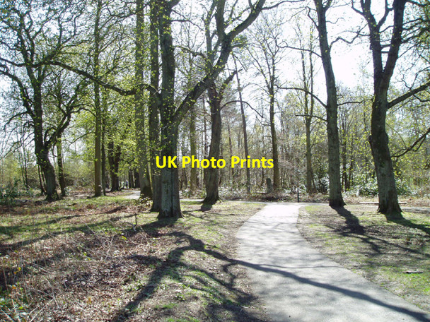 Photo 6"x4" Plean Country Park Plean c2006