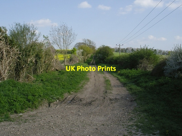 Photo 6"x4" Roman road south east of Newton Stacey Newton Stacey c2006 P1