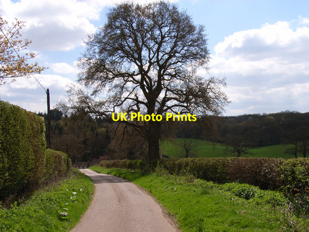 Photo 6"x4" Andrew Hill Lane, Hedgerley Hedgerley c2006