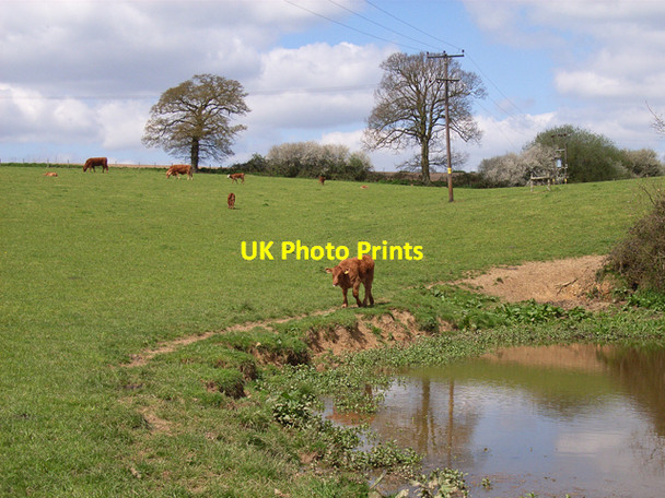 Photo 6"x4" Pastures near Hedgerley Hedgerley c2006