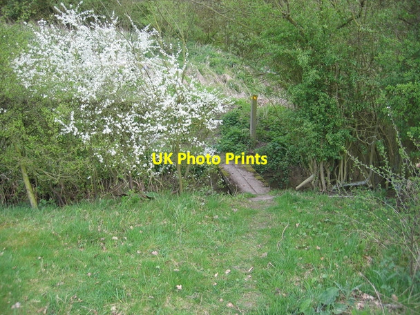 Photo 6"x4" Footbridge and blossom Spernall c2006