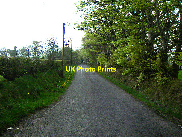 Photo 6"x4" Stretch of Road Alltwalis c2006