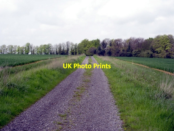 Photo 6"x4" Track, south of Micheldever Micheldever c2006