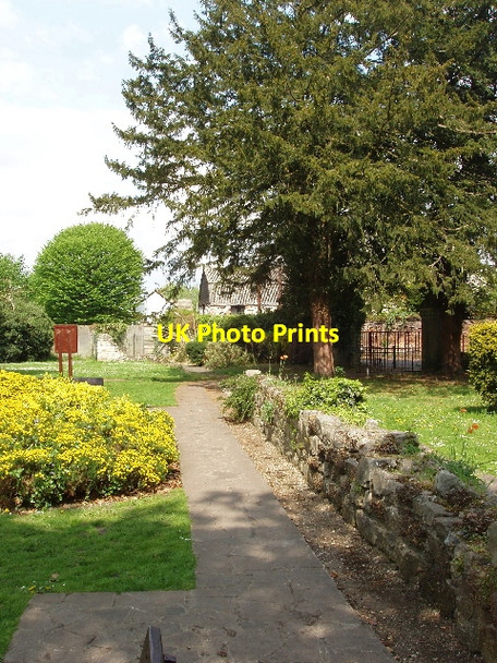 Photo 6"x4" Ruined wall of Chertsey Abbey Chertsey c2006