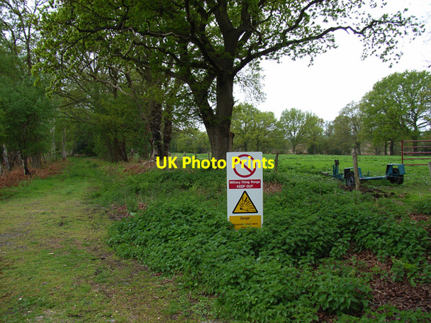 Photo 6"x4" Pirbright Ranges Donkey Town c2006
