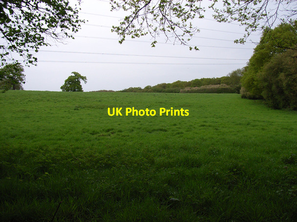Photo 6"x4" Field below Halebourne Copse Brook Place\/SU9561 c2006