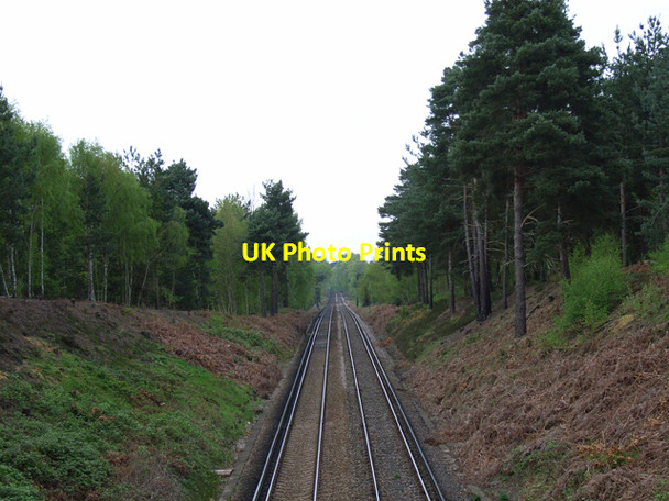 Photo 6"x4" Railway, north of Bagshot Bagshot\/SU9163 c2006