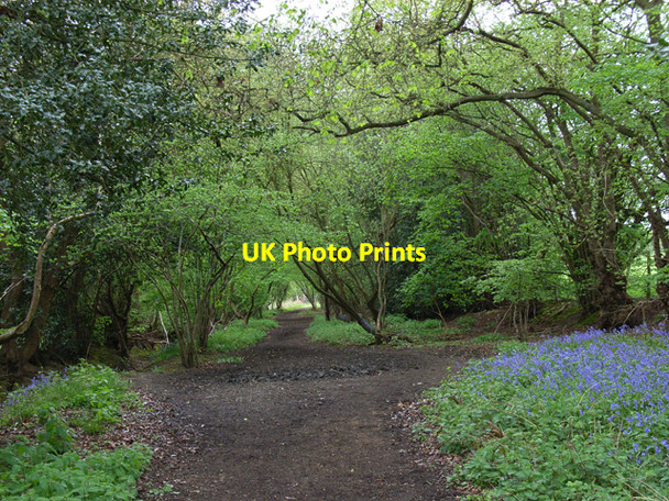 Photo 6"x4" Bridleway, Halebourne Brook Place\/SU9561 c2006