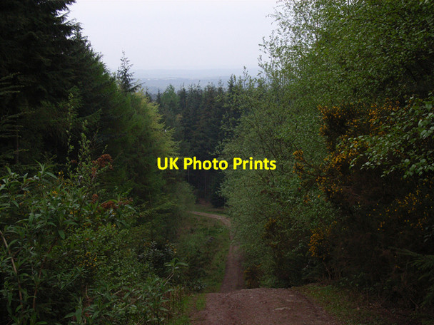 Photo 6"x4" Track, Beacon Hill Ewshot c2006