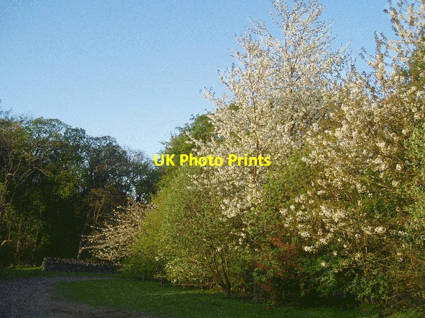 Photo 6"x4" Car Park at Bonaly Country Park Bonaly c2006