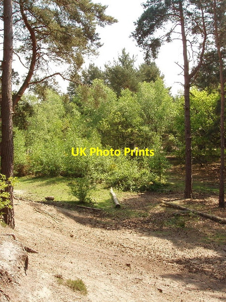 Photo 6"x4" Sandpit area of Horsell Common Woking c2006