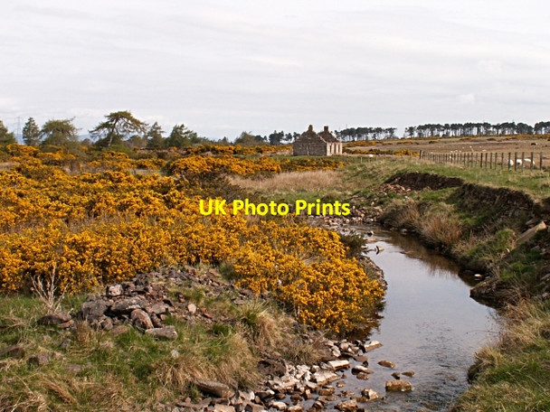 Photo 6"x4" Allt Mor Carn Glas (Chambered Cairns) c2006