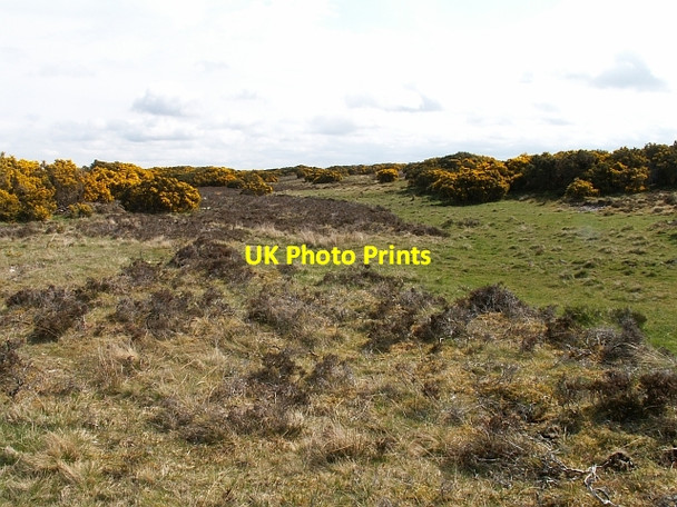 Photo 6"x4" Moorland near Druimashie Carn Glas (Chambered Cairns) c2006