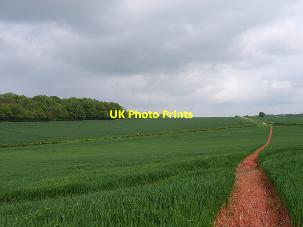 Photo 6"x4" Farmland at Readon Farm Hillside\/SU7550 c2006