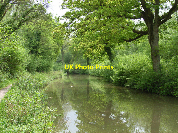 Photo 6"x4" The Basingstoke Canal, near Crookham Village Dogmersfield c2006