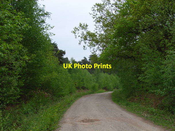 Photo 6"x4" Track, Yateley Common Darby Green c2006