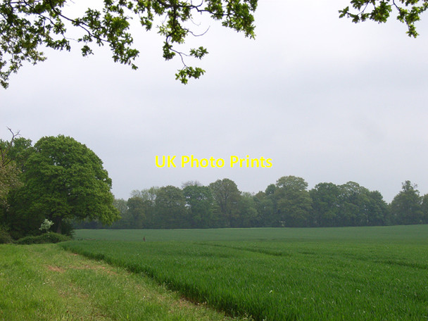 Photo 6"x4" Farmland near Mill Lane Bowling Alley c2006