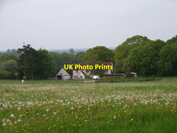 Photo 6"x4" Buttnidge Cottage and dandelions Hillside\/SU7550 c2006