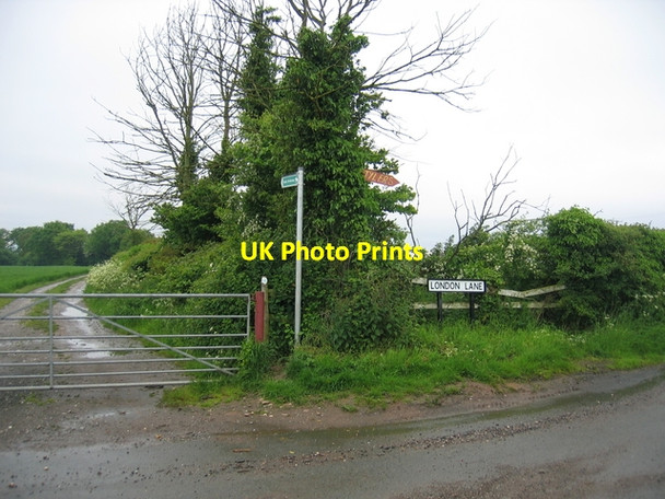 Photo 6"x4" London Lane Bank's Green c2006