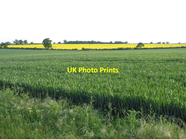 Photo 6"x4" Farmland from Great Lane, Haynes, Beds Haynes Church End c2006