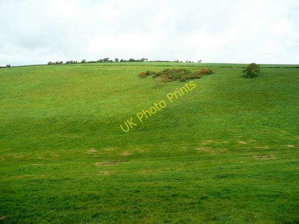 Photo 6"x4" View across Gould's Bottom Winterborne Monkton c2009