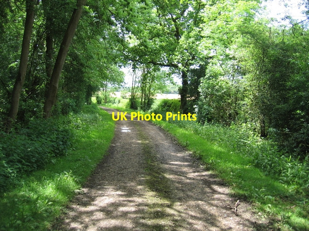 Photo 6"x4" Track by Fox Covert Bickmarsh c2006