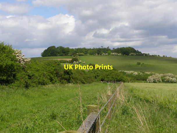 Photo 6"x4" Bridleway to Clearbury Down Wick\/SU1621 c2006