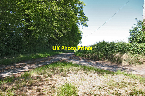 Photo 6"x4" Road leading to Old Down Farm Lower Bordean c2006