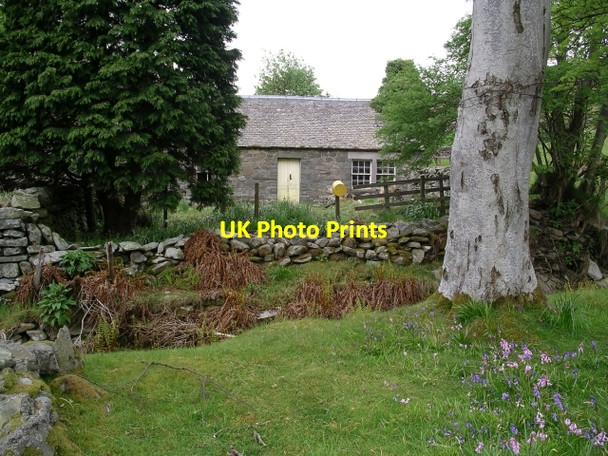 Photo 6"x4" Old Kirkhope Langhaugh\/NT2031 c2006