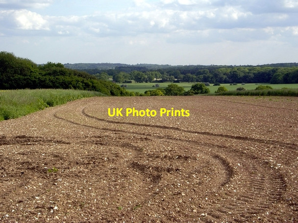 Photo 6"x4" Field at Bossington Farm Bossington\/SU3331 c2006