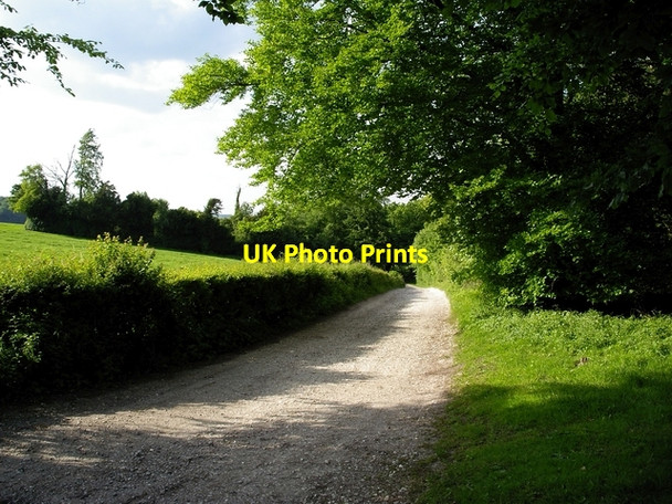 Photo 6"x4" Track west of Forest of Bere Farm Ashley\/SU3830 c2006