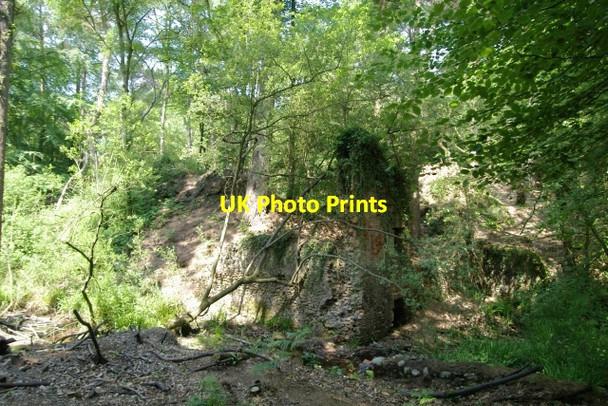 Photo 6"x4" Building remains, Squabmoor Plantation Hulham c2006