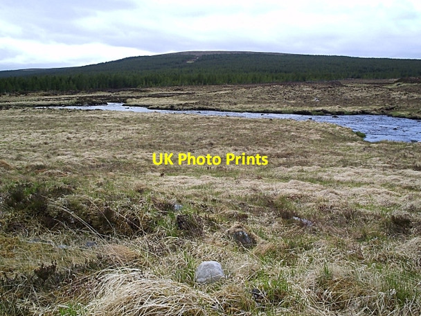Photo 6"x4" Looking towards the River Fiag Fiag Plantation c2006