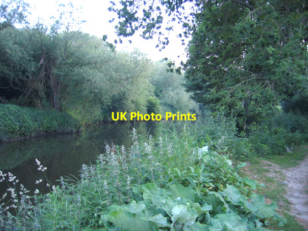 Photo 6"x4" River Medway from the Medway Valley Walk, Maidstone, Kent Maidstone c2006