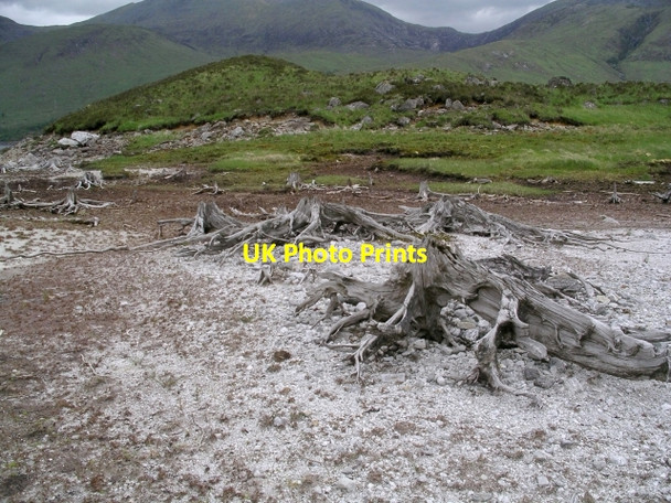 Photo 6"x4" Beached island, Loch Quoich Allt na h-Airigh\/NH0400 c2006