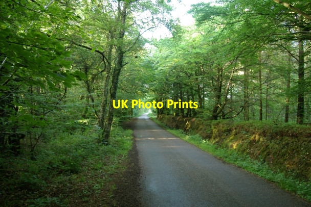 Photo 6"x4" East Hill Strips Ottery St Mary c2006