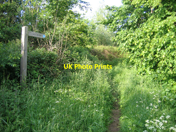 Photo 6"x4" Entrance to bridleway, Sutton\/Potton, Beds Deepdale\/TL2049 c2006