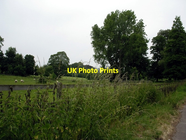 Photo 6"x4" Parkland, Kilmeston Kilmeston c2006