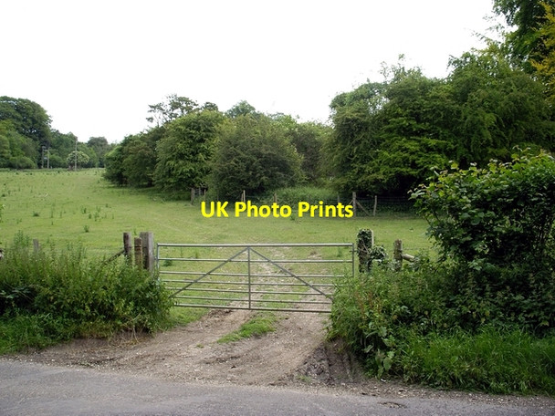 Photo 6"x4" Copse to the east of West Dean Road Gree c2006