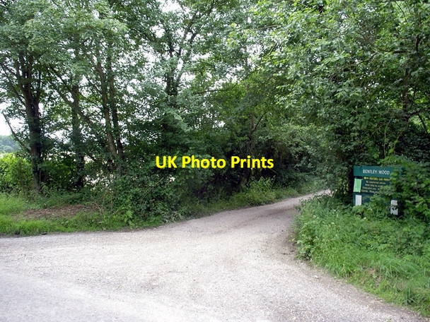 Photo 6"x4" Entrance to Bentley Wood Frenchmoor c2006