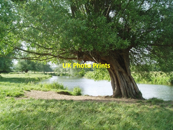 Photo 6"x4" Beside the River Stour Dedham c2006