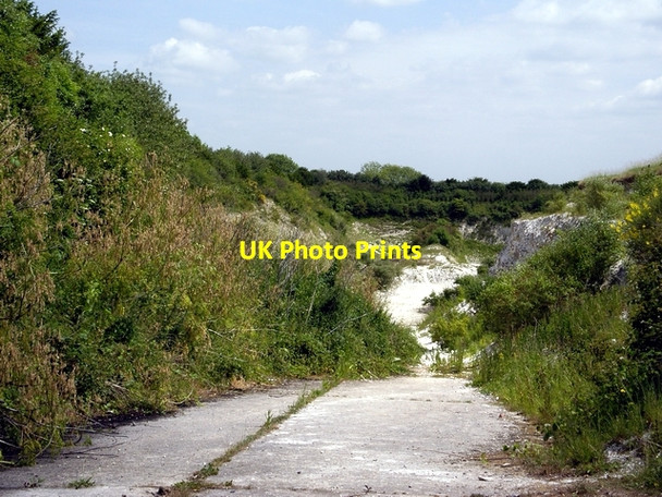 Photo 6"x4" Disused Chalk quarry south of East Grimstead East Grimstead c2006