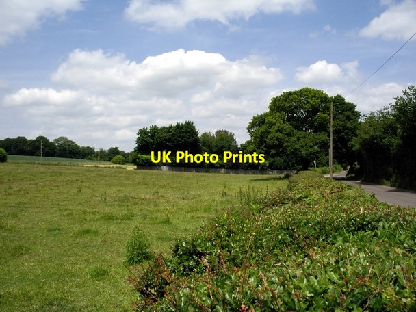 Photo 6"x4" Looking north by Livery Road Farley\/SU2229 c2006