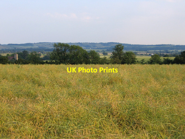 Photo 6"x4" Oilseed rape field, Upper Gravenhurst, Beds Lower Gravenhurst c2006