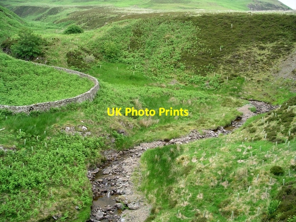 Photo 6"x4" Dryhope Burn Dryhope c2006