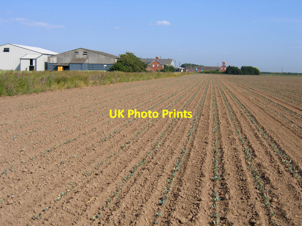 Photo 6"x4" College Farm, Kirton\/Frampton Marsh, Lincs Bucklegate c2006