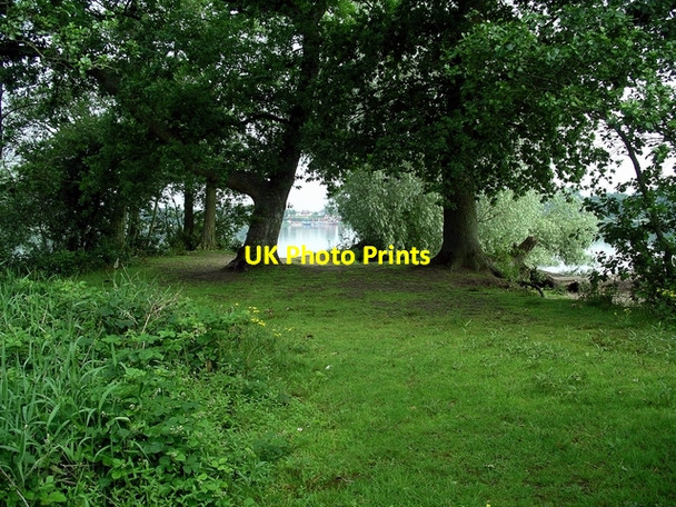 Photo 6"x4" On the island, Castle Loch Lochmaben c2006