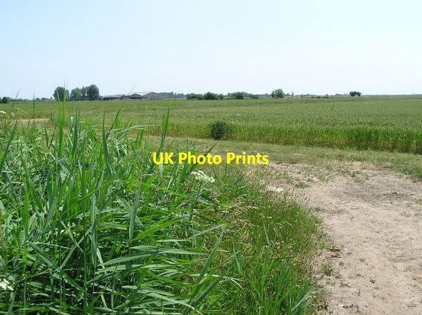 Photo 6"x4" Farmland, near Ludham Thurne c2006