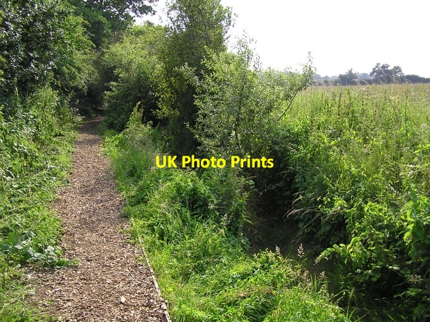 Photo 6"x4" Moor Road, Sutton Sutton\/TG3823 c2006