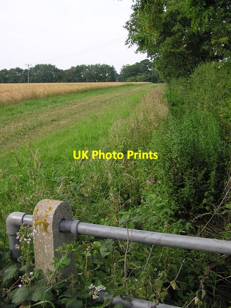Photo 6"x4" Brook, near Catfield Catfield c2006